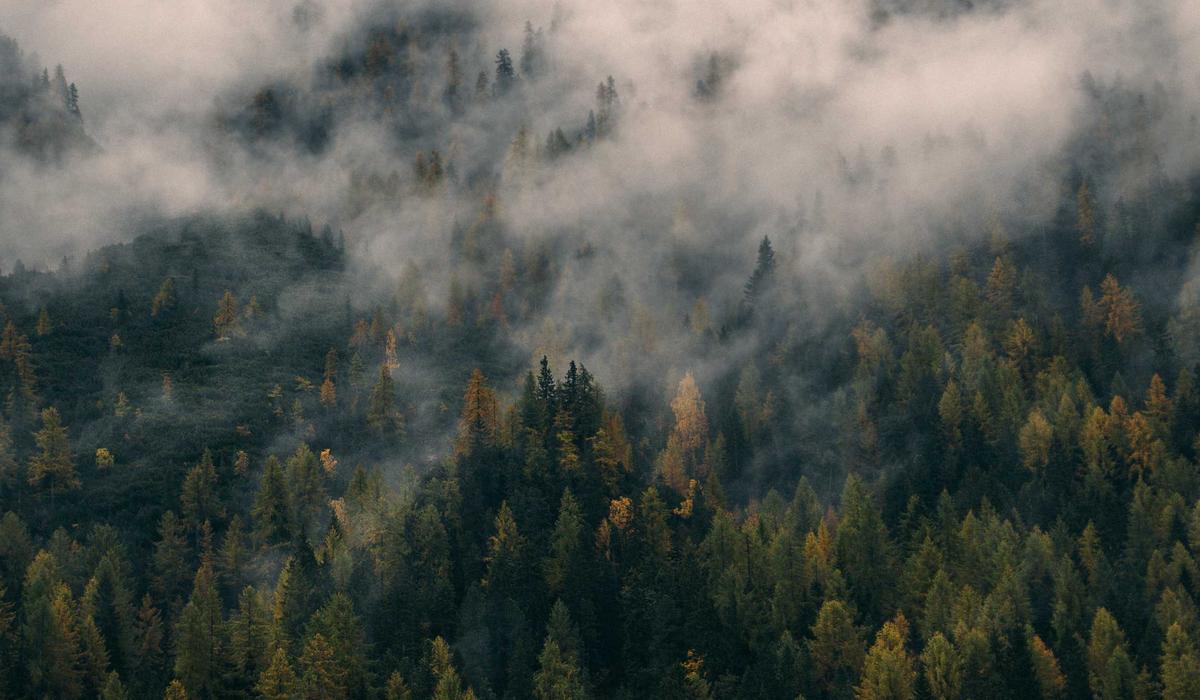 What readers should know before collecting reliable sources